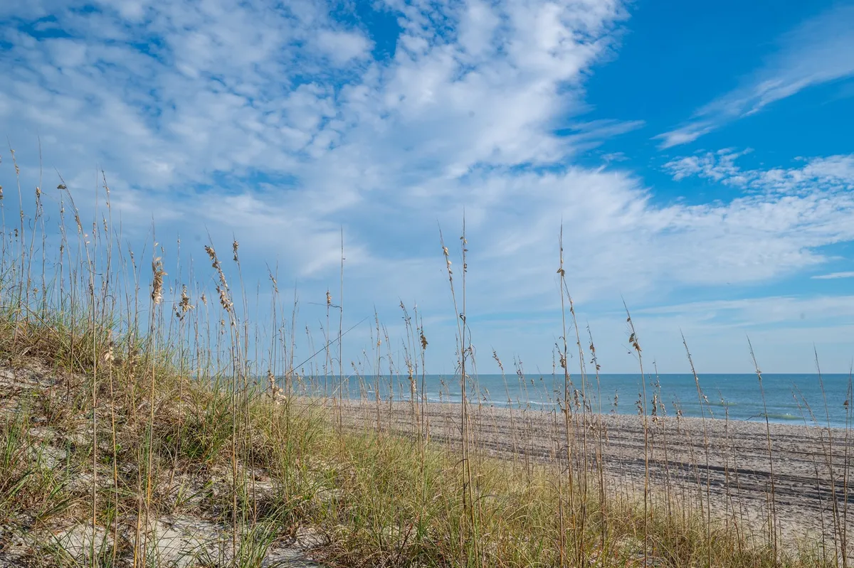 A tranquil stretch of beach bordered by dune grass, gently rolling into the ocean under a cloudy sky. The expansive view captures the serene atmosphere of the shoreline, inviting strolls at sunrise or sunset.