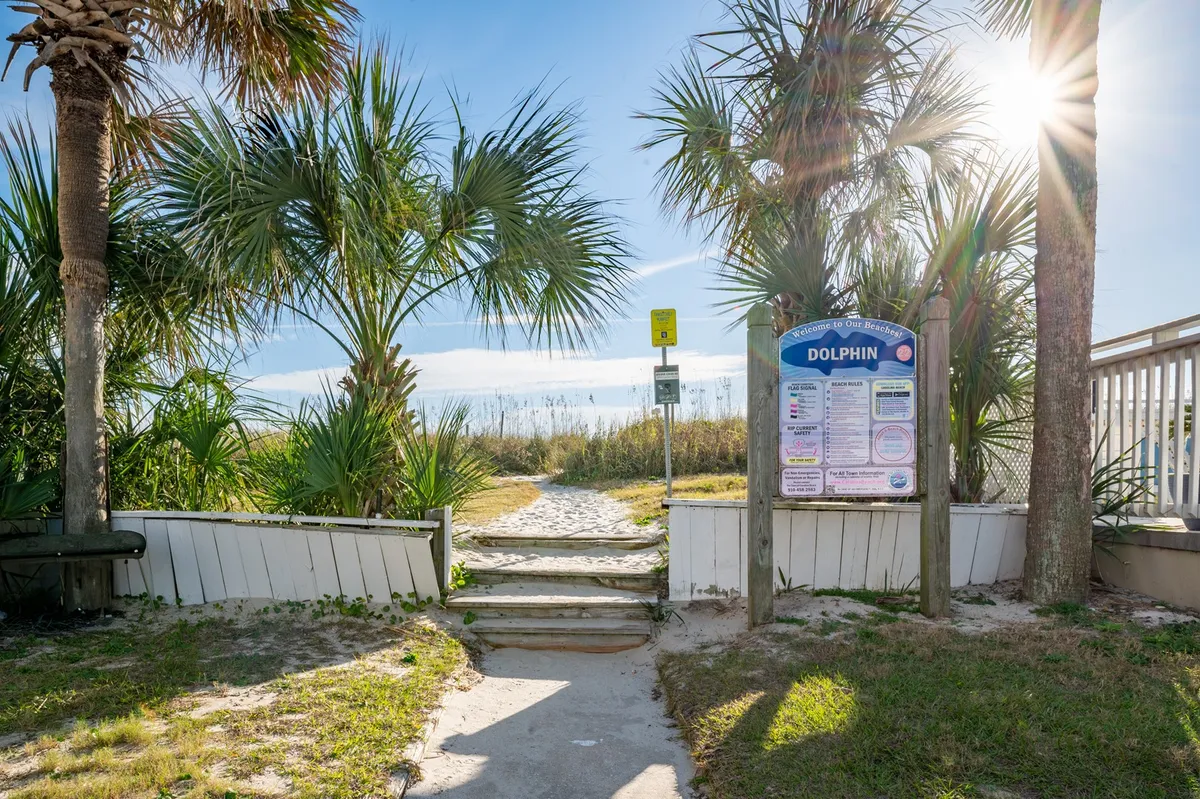 A cheerful exterior scene featuring palm trees and a pathway leading toward the beach, with an informational sign nearby. The area feels welcoming for families heading out to explore sand and surf.